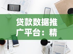贷款数据推广平台：精准获客与风险控制的关键工具