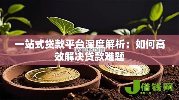一站式贷款平台深度解析：如何高效解决贷款难题