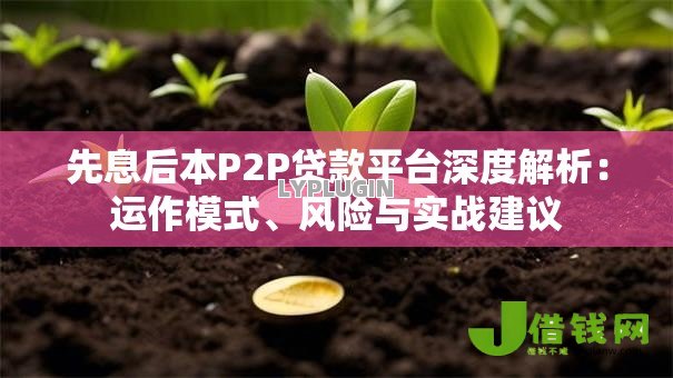 先息后本P2P贷款平台深度解析：运作模式、风险与实战建议
