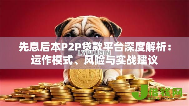 先息后本P2P贷款平台深度解析：运作模式、风险与实战建议