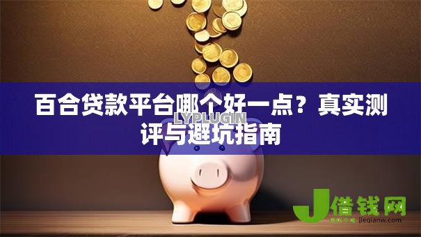 百合贷款平台哪个好一点?真实测评与避坑指南 百合贷款平台哪个好一点?真实测评与避坑指南