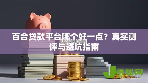 百合贷款平台哪个好一点?真实测评与避坑指南 百合贷款平台哪个好一点?真实测评与避坑指南