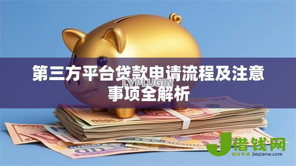 第三方平台贷款申请流程及注意事项全解析