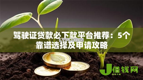 驾驶证贷款必下款平台推荐：5个靠谱选择及申请攻略