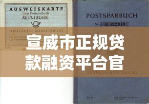 宣威市正规贷款融资平台官网指南：快速解决资金需求