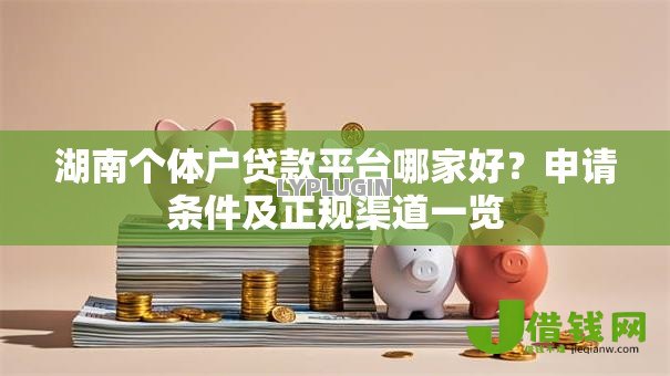湖南个体户贷款平台哪家好？申请条件及正规渠道一览