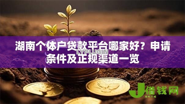 湖南个体户贷款平台哪家好？申请条件及正规渠道一览