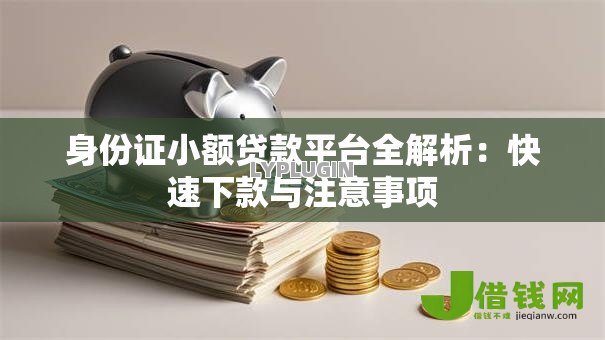 身份证小额贷款平台全解析：快速下款与注意事项