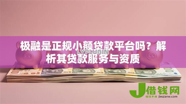极融是正规小额贷款平台吗？解析其贷款服务与资质