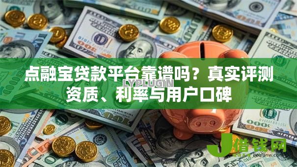 点融宝贷款平台靠谱吗？真实评测资质、利率与用户口碑