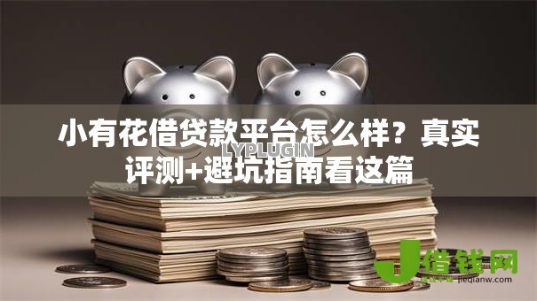 小有花借贷款平台怎么样?真实评测+避坑指南看这篇 小有花借贷款平台怎么样?真实评测+避坑指南看这篇