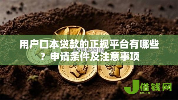 用户口本贷款的正规平台有哪些?申请条件及注意事项 用户口本贷款的正规平台有哪些?申请条件及注意事项