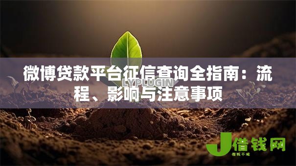 微博贷款平台征信查询全指南:流程、影响与注意事项 微博贷款平台征信查询全指南:流程、影响与注意事项