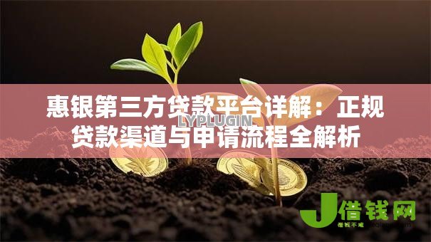惠银第三方贷款平台详解:正规贷款渠道与申请流程全解析 惠银第三方贷款平台详解:正规贷款渠道与申请流程全解析