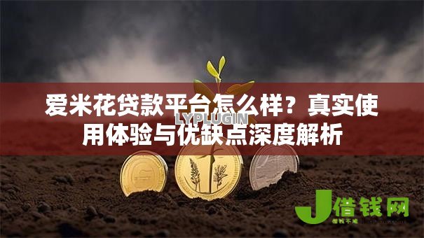 爱米花贷款平台怎么样？真实使用体验与优缺点深度解析