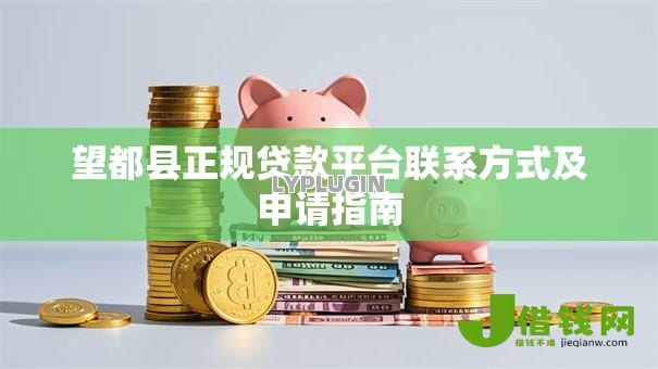望都县正规贷款平台联系方式及申请指南