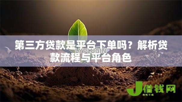 第三方贷款是平台下单吗？解析贷款流程与平台角色