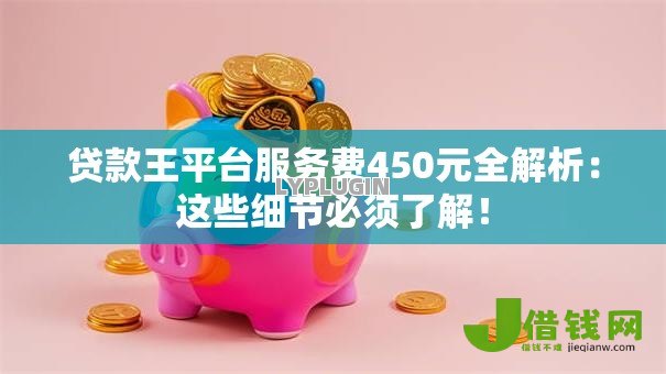 贷款王平台服务费450元全解析：这些细节必须了解！