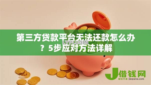 第三方贷款平台无法还款怎么办？5步应对方法详解