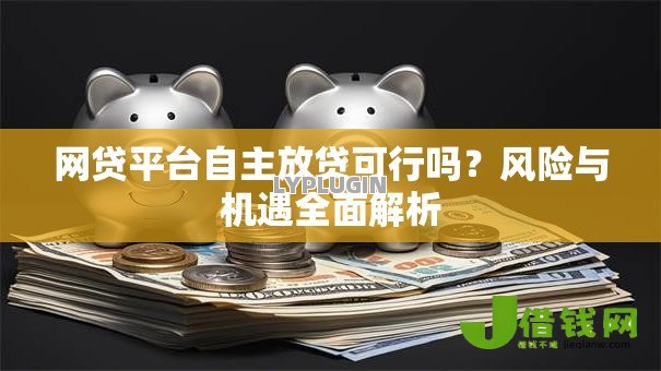 网贷平台自主放贷可行吗?风险与机遇全面解析 网贷平台自主放贷可行吗?风险与机遇全面解析