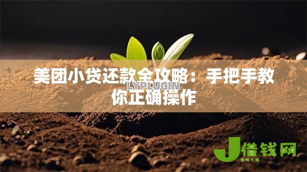 美团小贷还款全攻略：手把手教你正确操作