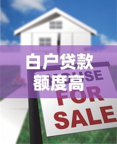 白户贷款额度高的平台推荐及申请技巧 白户贷款额度高的平台推荐及申请技巧