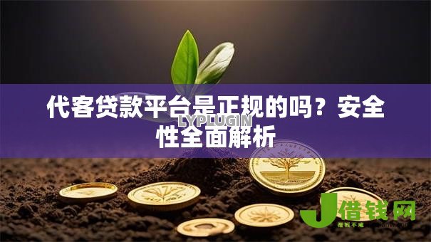 代客贷款平台是正规的吗?安全性全面解析 代客贷款平台是正规的吗?安全性全面解析