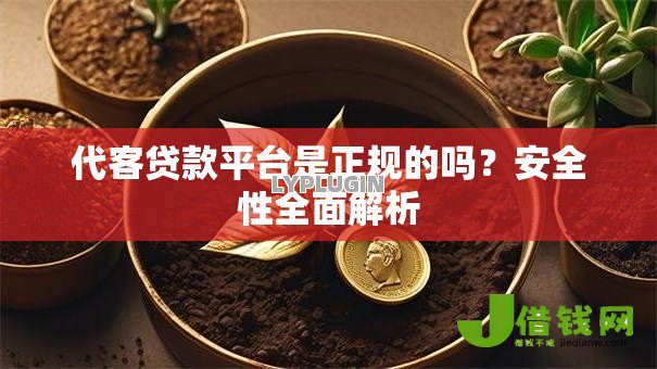代客贷款平台是正规的吗?安全性全面解析 代客贷款平台是正规的吗?安全性全面解析