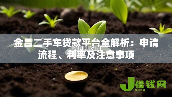 金昌二手车贷款平台全解析：申请流程、利率及注意事项