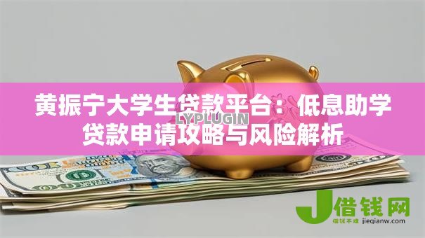 黄振宁大学生贷款平台：低息助学贷款申请攻略与风险解析