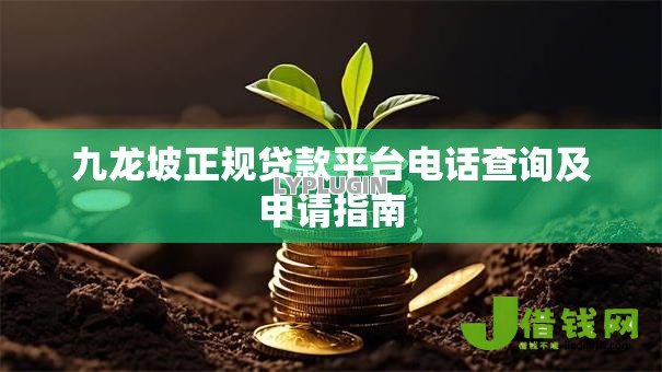 九龙坡正规贷款平台电话查询及申请指南