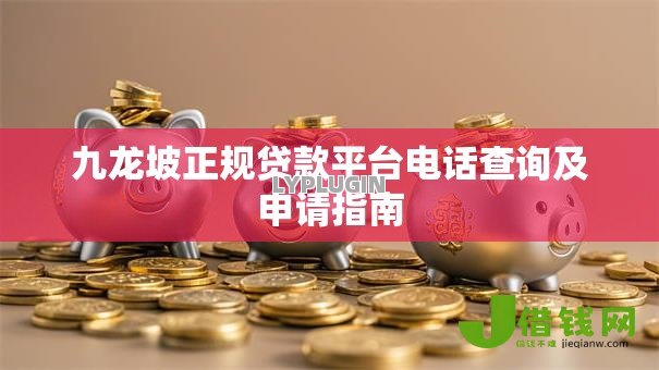 九龙坡正规贷款平台电话查询及申请指南