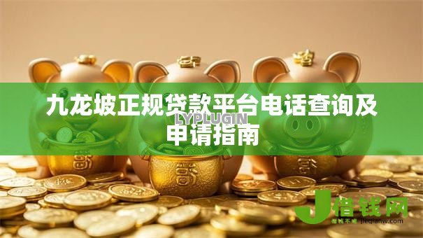 九龙坡正规贷款平台电话查询及申请指南