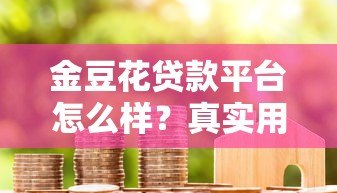 金豆花贷款平台怎么样？真实用户评测与避坑指南
