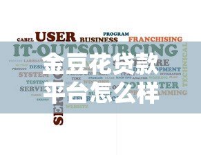 金豆花贷款平台怎么样？真实用户评测与避坑指南