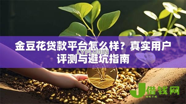 金豆花贷款平台怎么样？真实用户评测与避坑指南