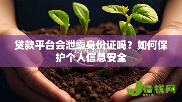 贷款平台会泄露身份证吗?如何保护个人信息安全 贷款平台会泄露身份证吗?如何保护个人信息安全