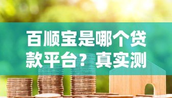 百顺宝是哪个贷款平台？真实测评与使用指南