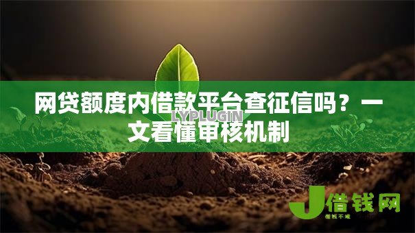 网贷额度内借款平台查征信吗？一文看懂审核机制