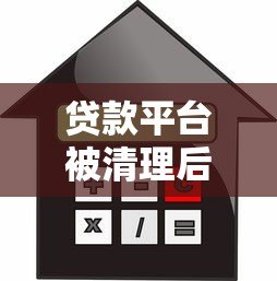 贷款平台被清理后借款人应对指南