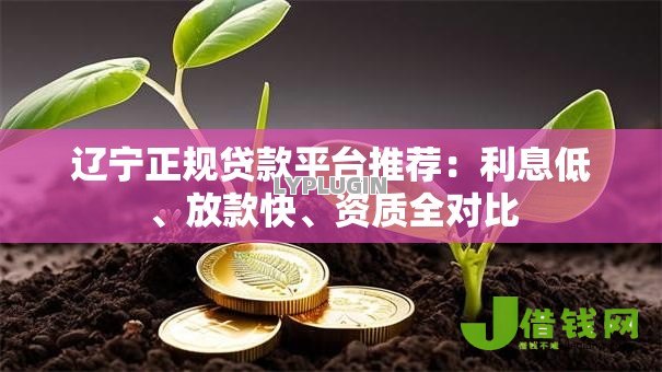 辽宁正规贷款平台推荐:利息低、放款快、资质全对比 辽宁正规贷款平台推荐:利息低、放款快、资质全对比