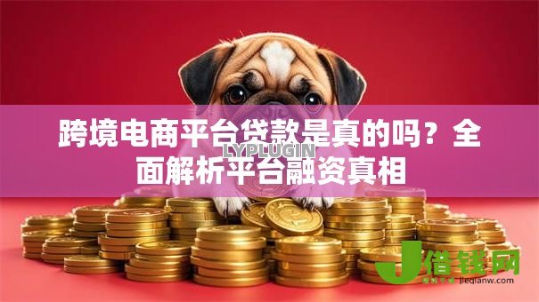 跨境电商平台贷款是真的吗?全面解析平台融资真相 跨境电商平台贷款是真的吗?全面解析平台融资真相