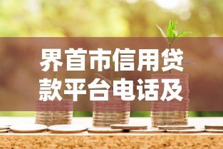 界首市信用贷款平台电话及办理攻略