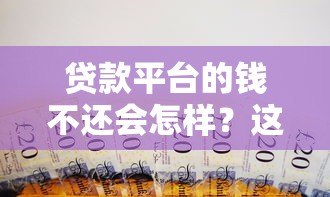贷款平台的钱不还会怎样?这5大后果你可能承担不起 贷款平台的钱不还会怎样?这5大后果你可能承担不起