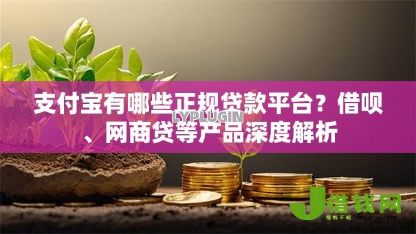 支付宝有哪些正规贷款平台?借呗、网商贷等产品深度解析 支付宝有哪些正规贷款平台?借呗、网商贷等产品深度解析