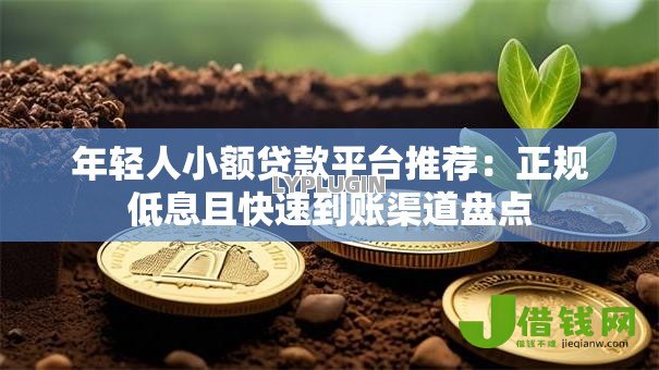 年轻人小额贷款平台推荐:正规低息且快速到账渠道盘点 年轻人小额贷款平台推荐:正规低息且快速到账渠道盘点