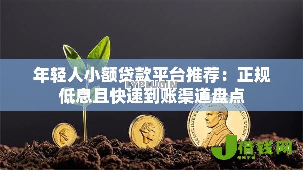 年轻人小额贷款平台推荐:正规低息且快速到账渠道盘点 年轻人小额贷款平台推荐:正规低息且快速到账渠道盘点