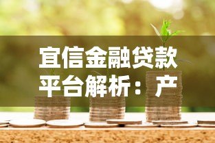 宜信金融贷款平台解析：产品、流程、优缺点全知道