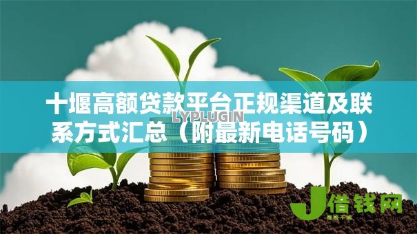 十堰高额贷款平台正规渠道及联系方式汇总（附最新电话号码）