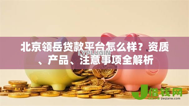 北京领岳贷款平台怎么样?资质、产品、注意事项全解析 北京领岳贷款平台怎么样?资质、产品、注意事项全解析